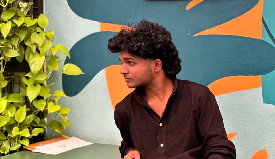 freelance web developer